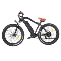 OEM MTB Electric Bike Electric Mountain Bicycle